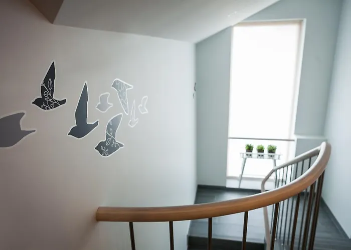 Nikolas * Druskininkai